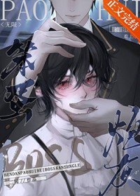 笨蛋炮灰被BOSS看上了[无限]